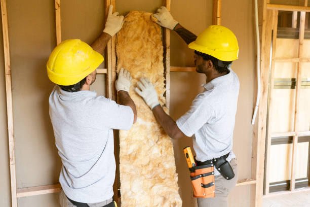 Best Attic Insulation Installation  in Lebanon, MO