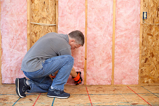 Best Soundproof Insulation Installation  in Lebanon, MO
