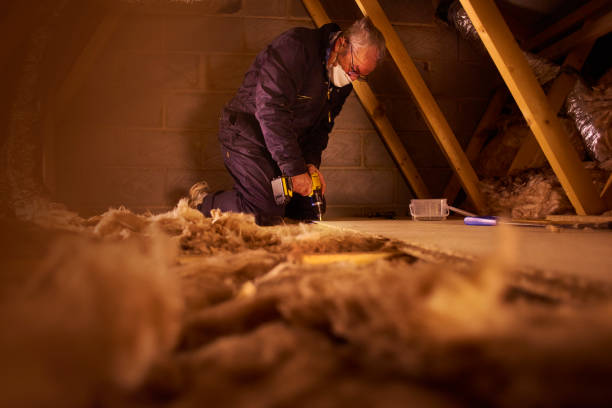 Best Insulation Contractors for Homes  in Lebanon, MO