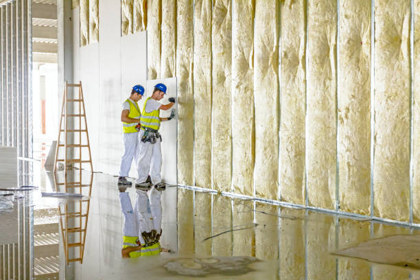 Best Attic Insulation Installation  in Lebanon, MO